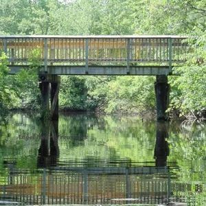 4x6 Original Photography Bridge Reflections